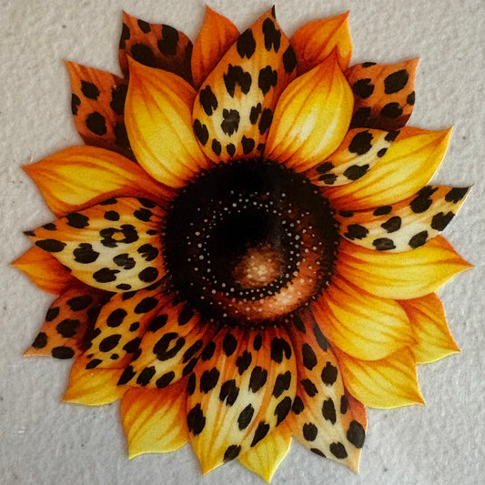 Animal Print Sunflower
