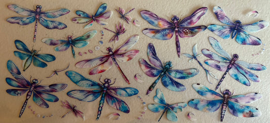 Dragonflies