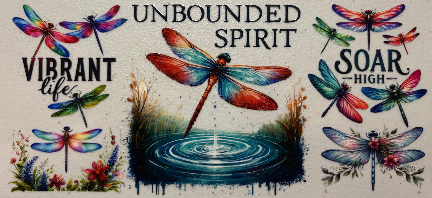 Soar High Dragonflies